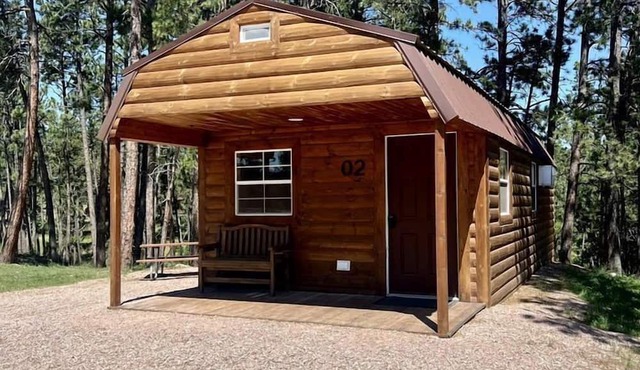 Stunning Wooden Cabin with Hiking Trails near in Rapid City, South Dakota