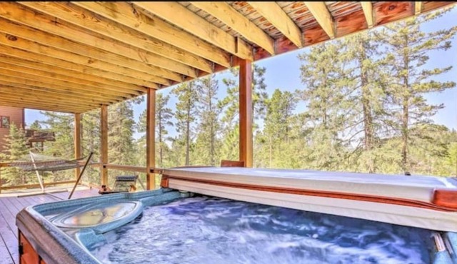 The Cabin in the Hills, Lead SD