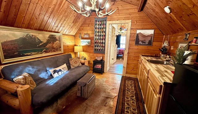 The Dapper Duck log cabin! Charming 1-bedroom in The Forest!