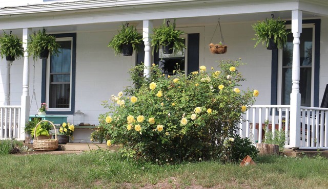The Honeysuckle Cottage in beautiful Madison VA