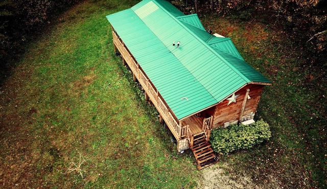 The Seedling - Log Cabin in the Woods