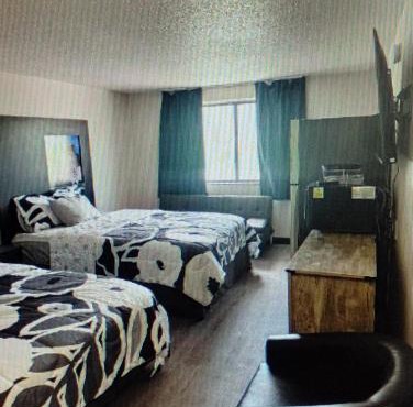 The suite