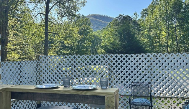 The Tiny Den w/Mountain View, Games, Fire Pit, 25 min to Gatlinburg