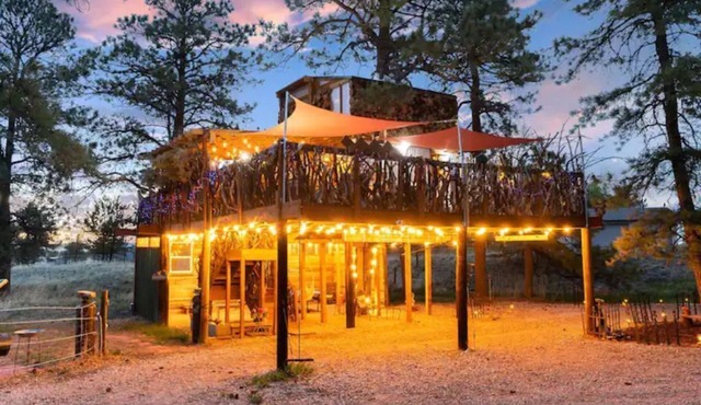 Treehouse Magic at Houses High Treesort