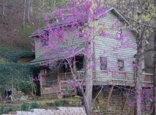 Turner Bend Cottage