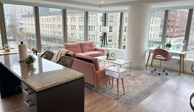 Upscale Central 2BR Condo with Gym & Parking near Boston Common, MGH & TUFTS! in Boston