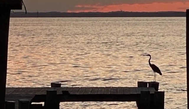 Waterfront on Kent Island