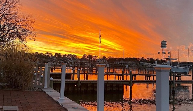 Waterfront Serenity