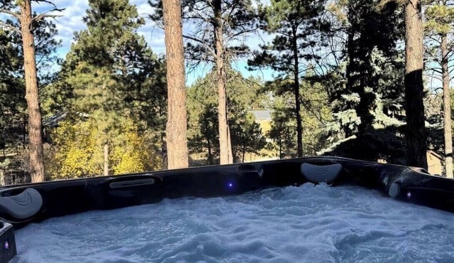 Wildlife Estates. Spacious 4-BR, Dog Friendly, Bonus-Game Rm, HotTub, Garage