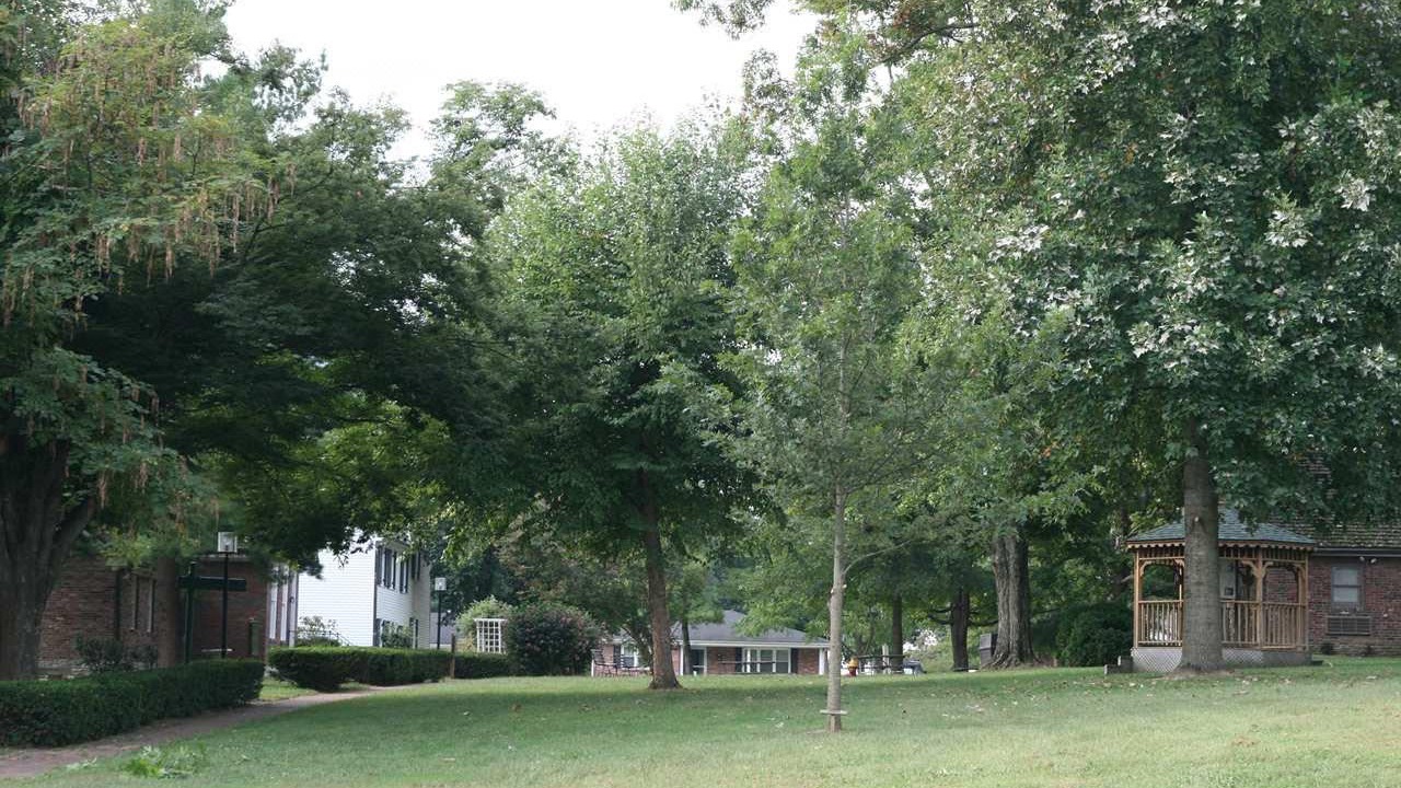 Photo of Others in Danville