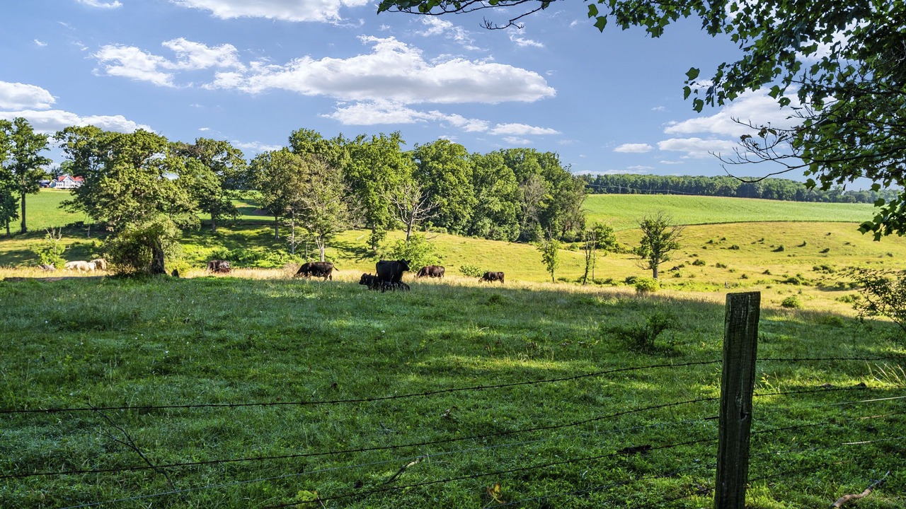 Photo of Others in Baldwin
