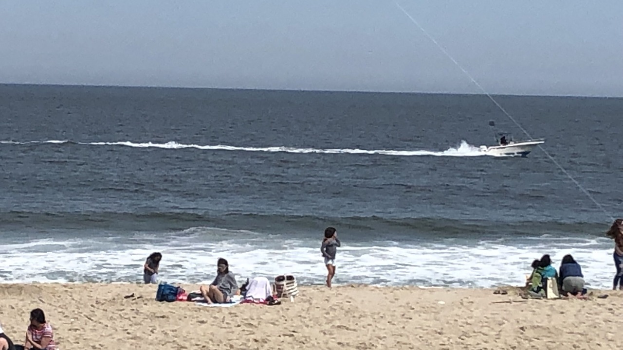 Photo of Others in Long Branch