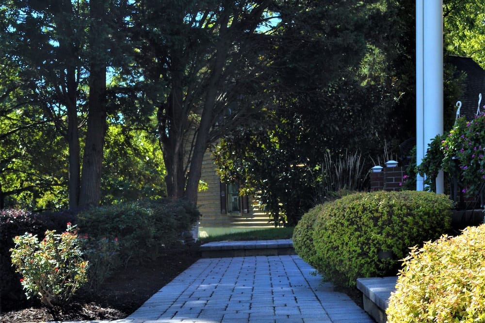 Photo of Others in Queenstown