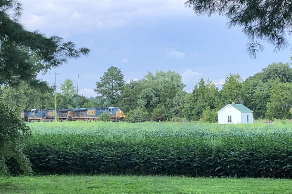 Photo of Outdoor in Woodford