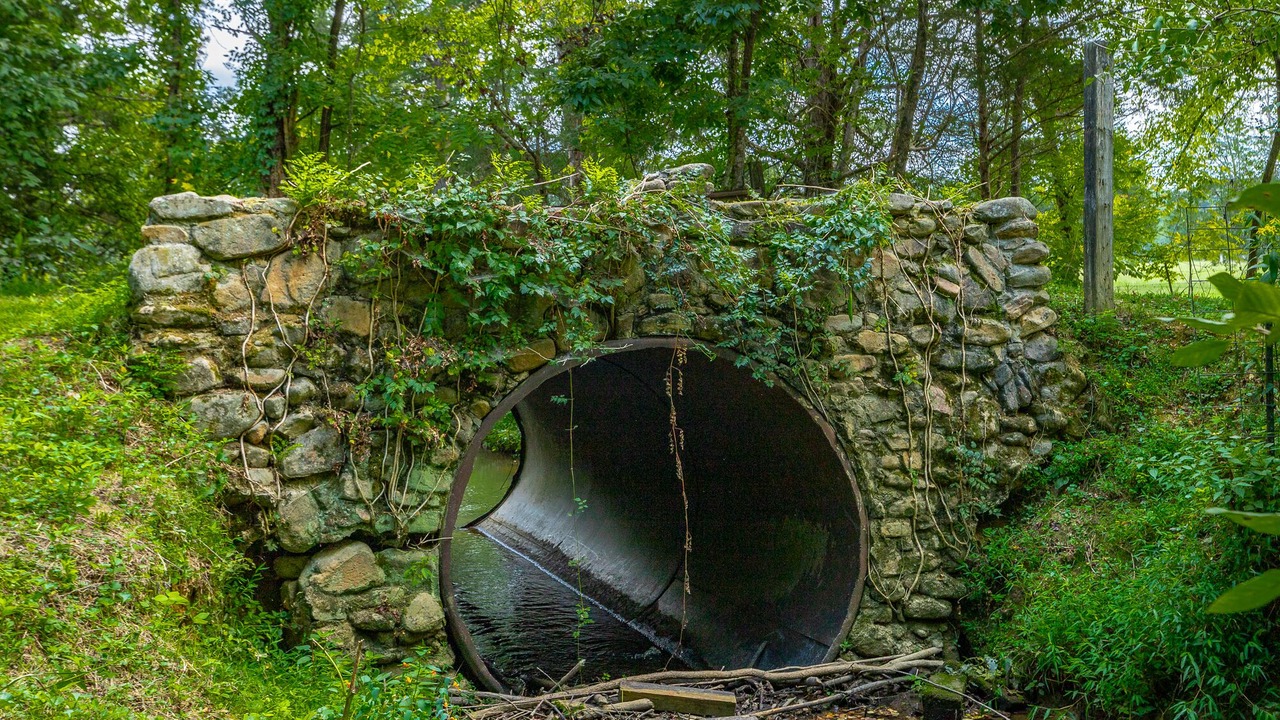 Photo of Outdoor in Rock Spring