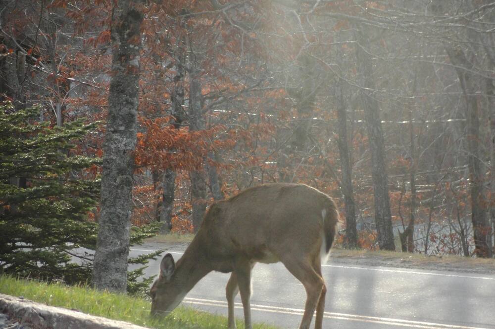Photo of Others in Southcrest
