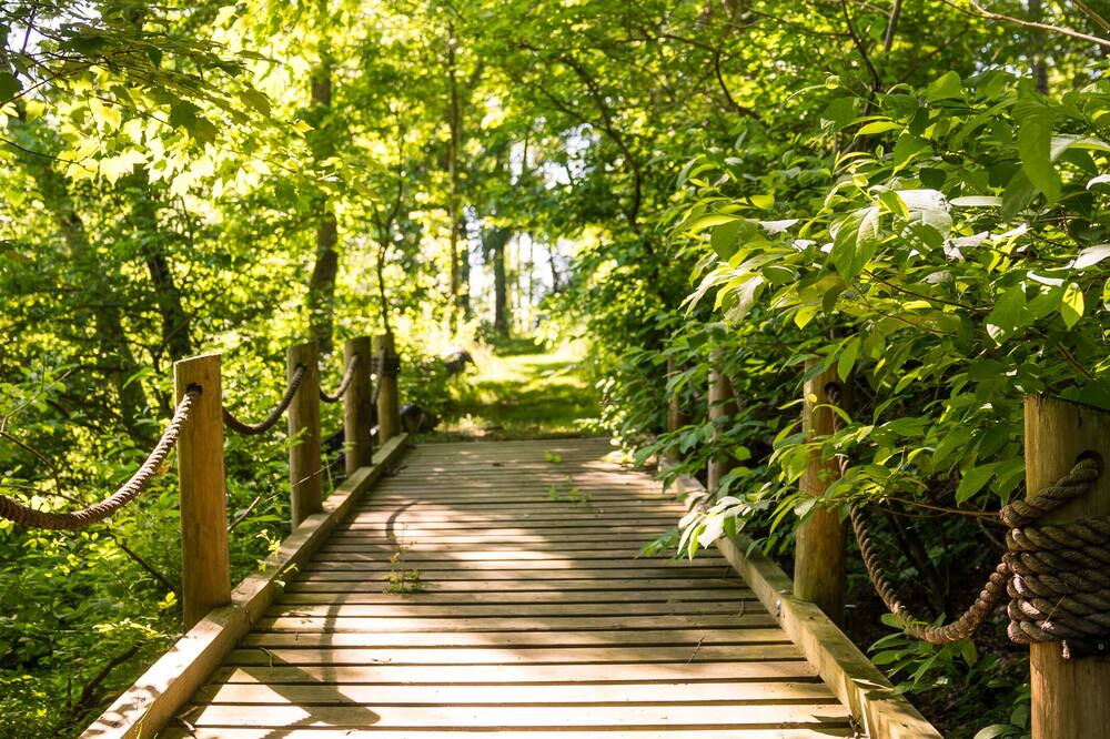 Photo of Outdoor in Nottingham