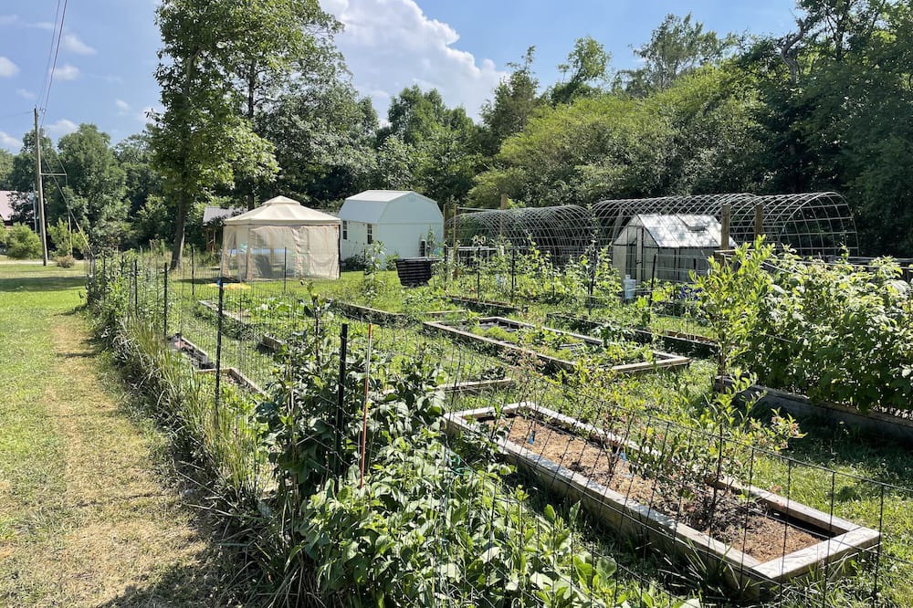 Photo of Outdoor in Albertville