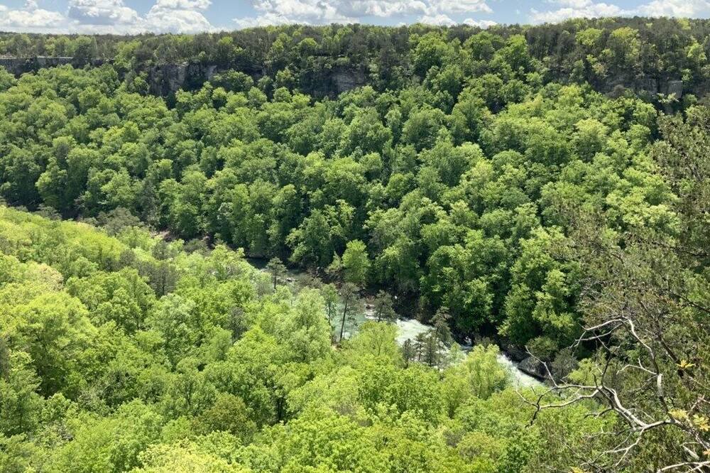 Photo of Others in Fort Payne