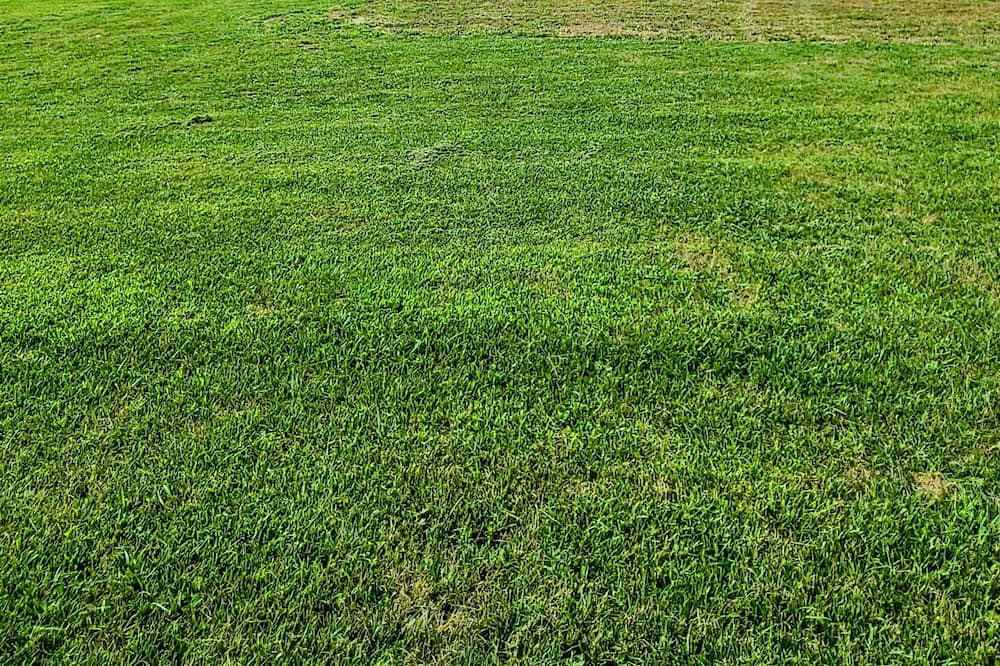 Photo of Outdoor in Higbee