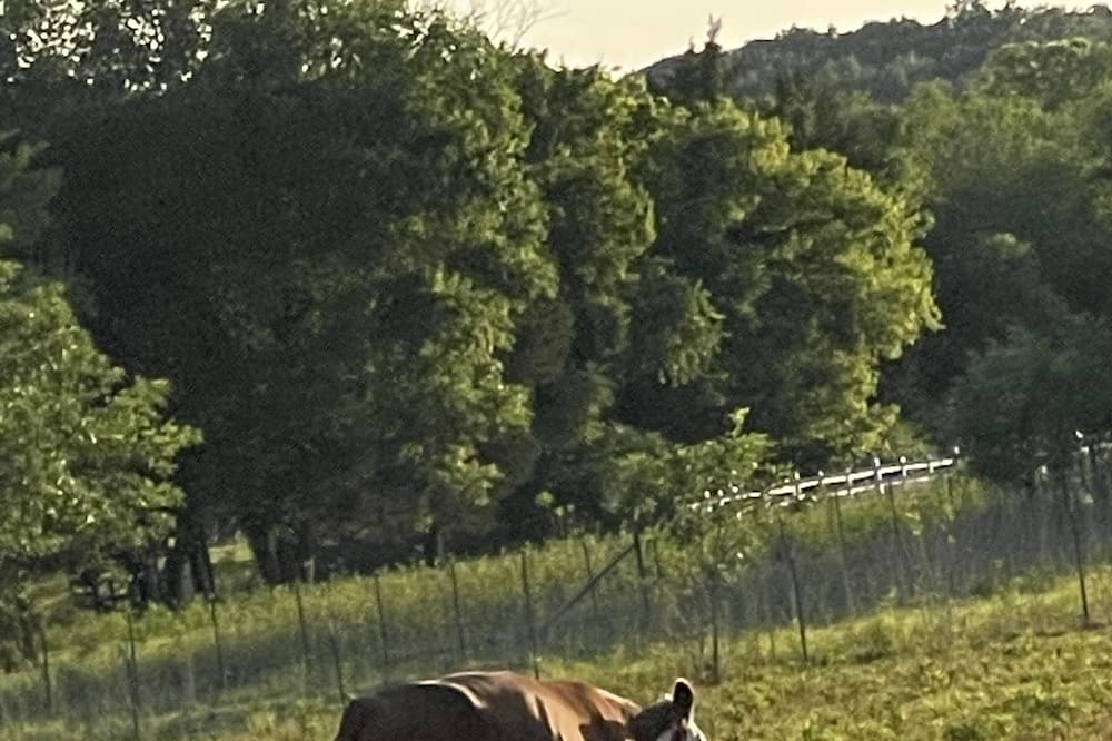 Photo of Outdoor in Dickel