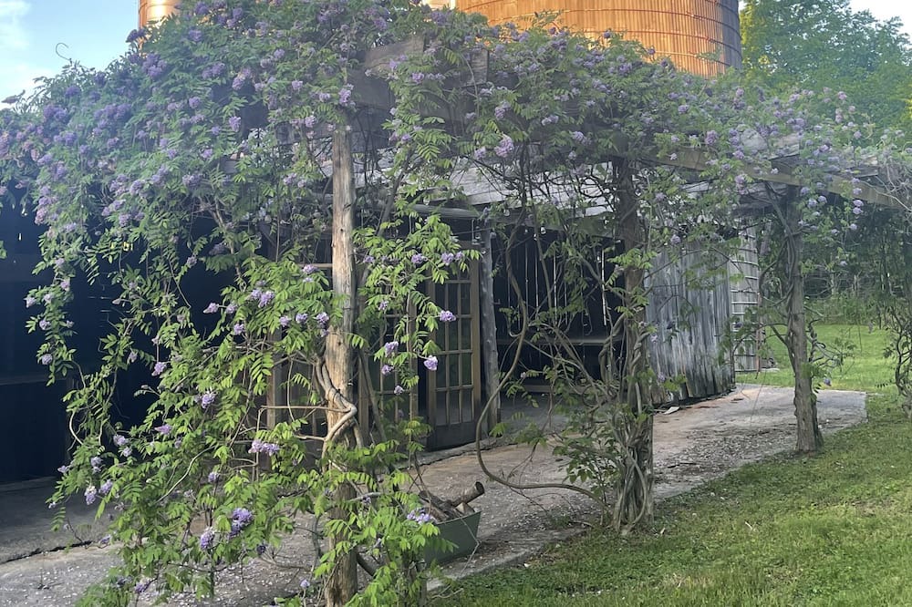 Photo of Outdoor in Dickel