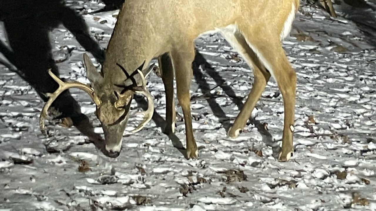 Photo of Others in Charter Hills