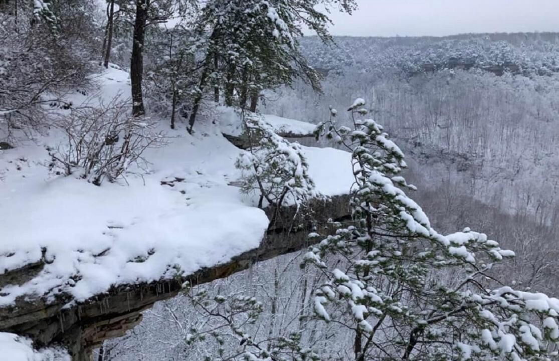 Photo of Others in Coalmont