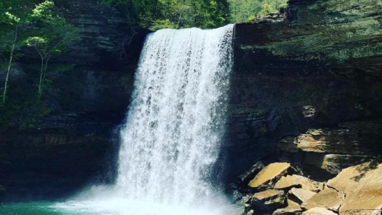 Photo of Others in Coalmont