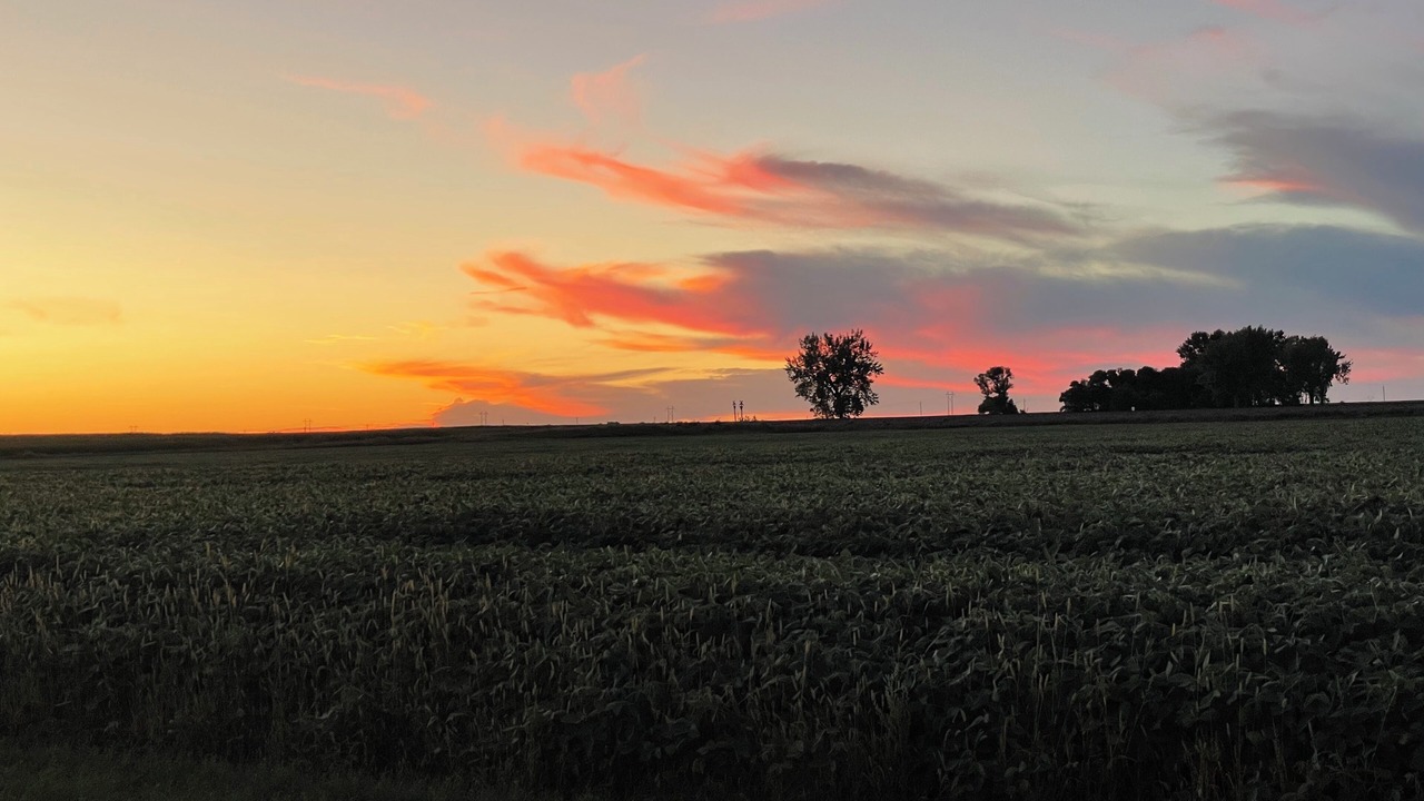 Photo of Outdoor in Bowdle