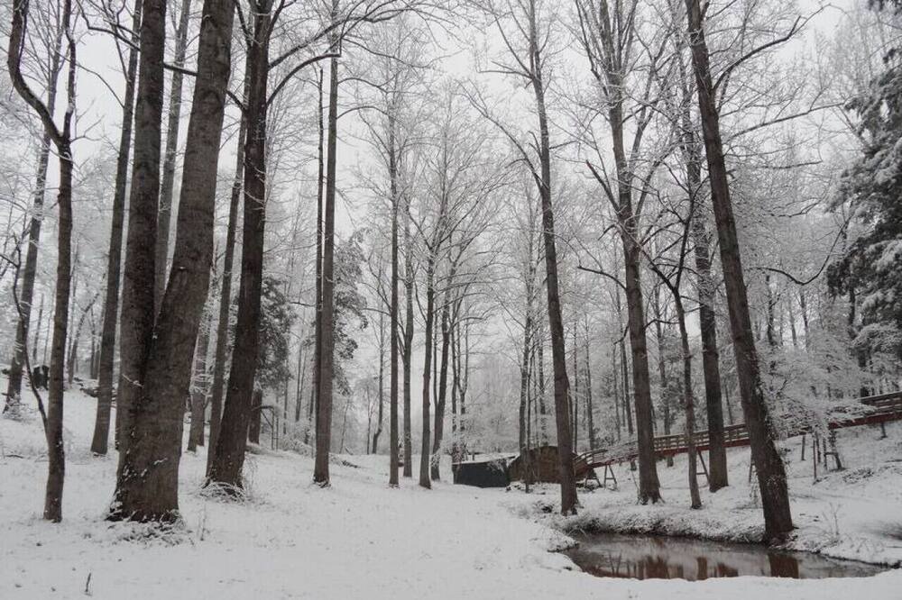 Photo of Others in Stanardsville
