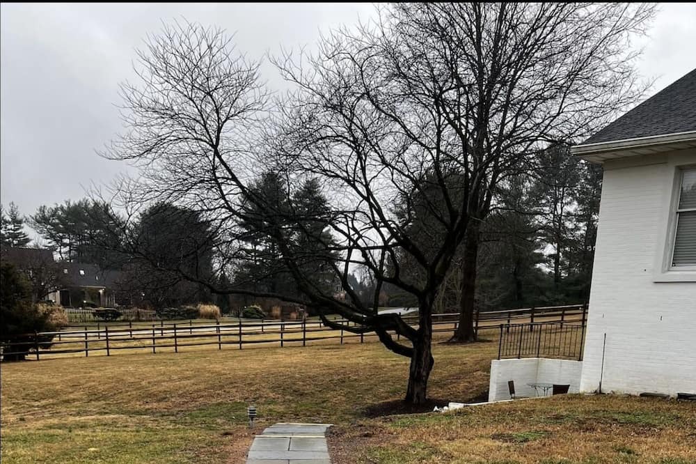 Photo of Outdoor in Potomac