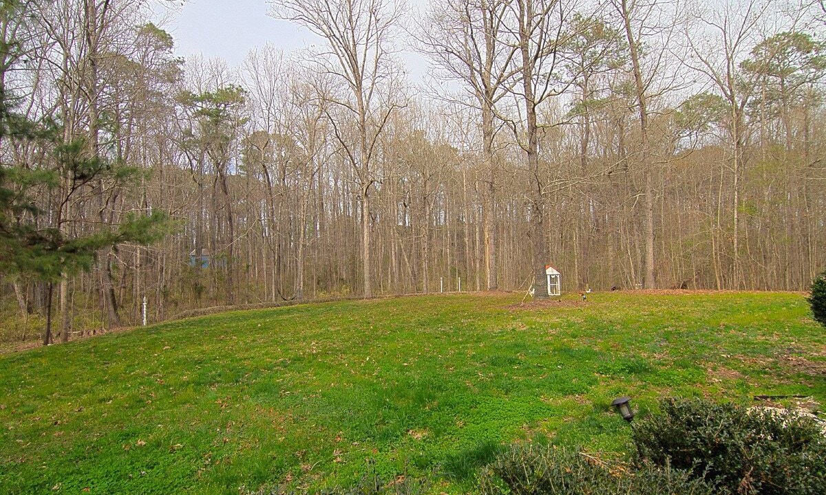 Photo of Others in Willow Spring