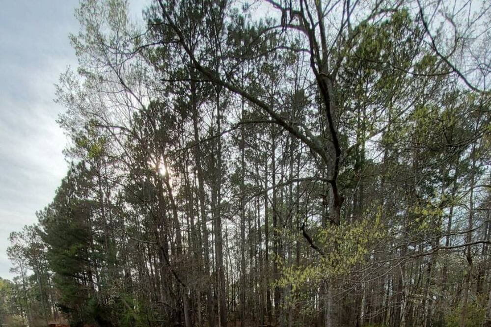 Photo of Outdoor in LaGrange