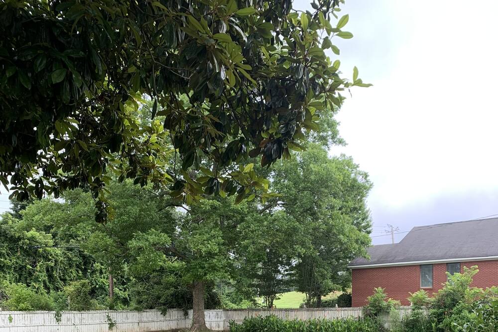 Photo of Outdoor in West Point