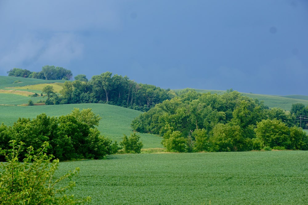 Photo of Others in Monona County