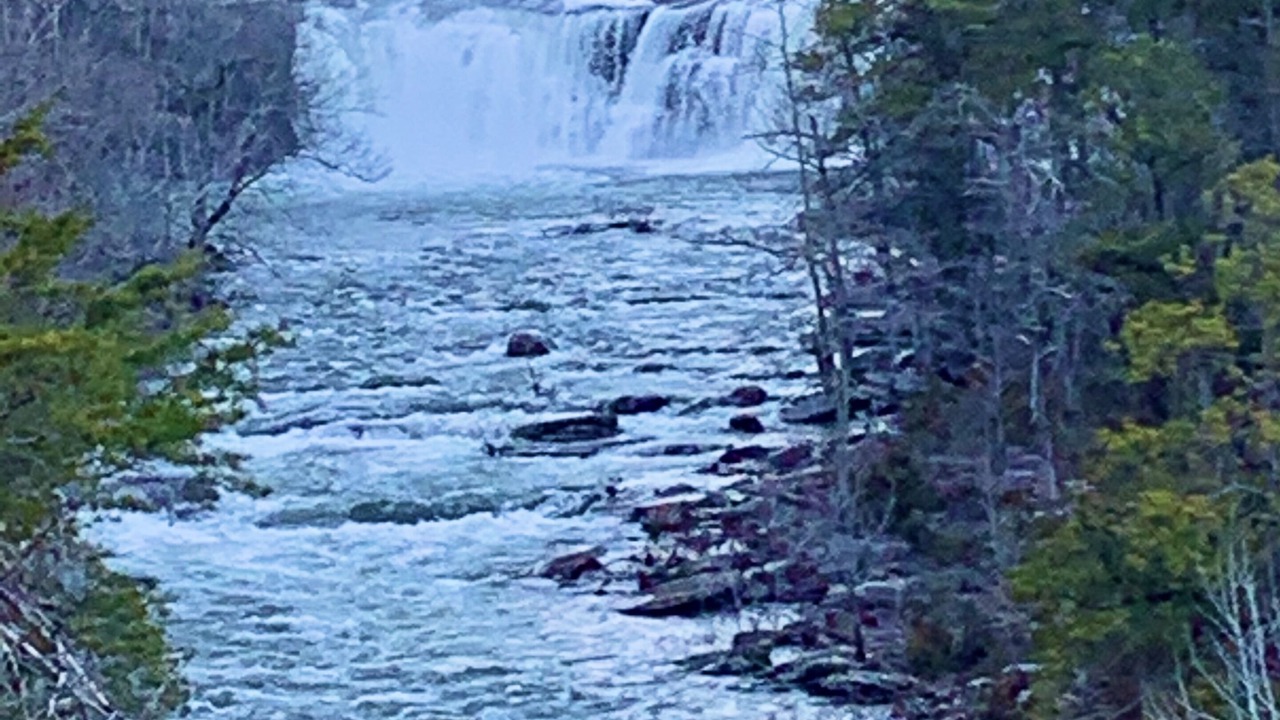 Photo of Outdoor in Mentone