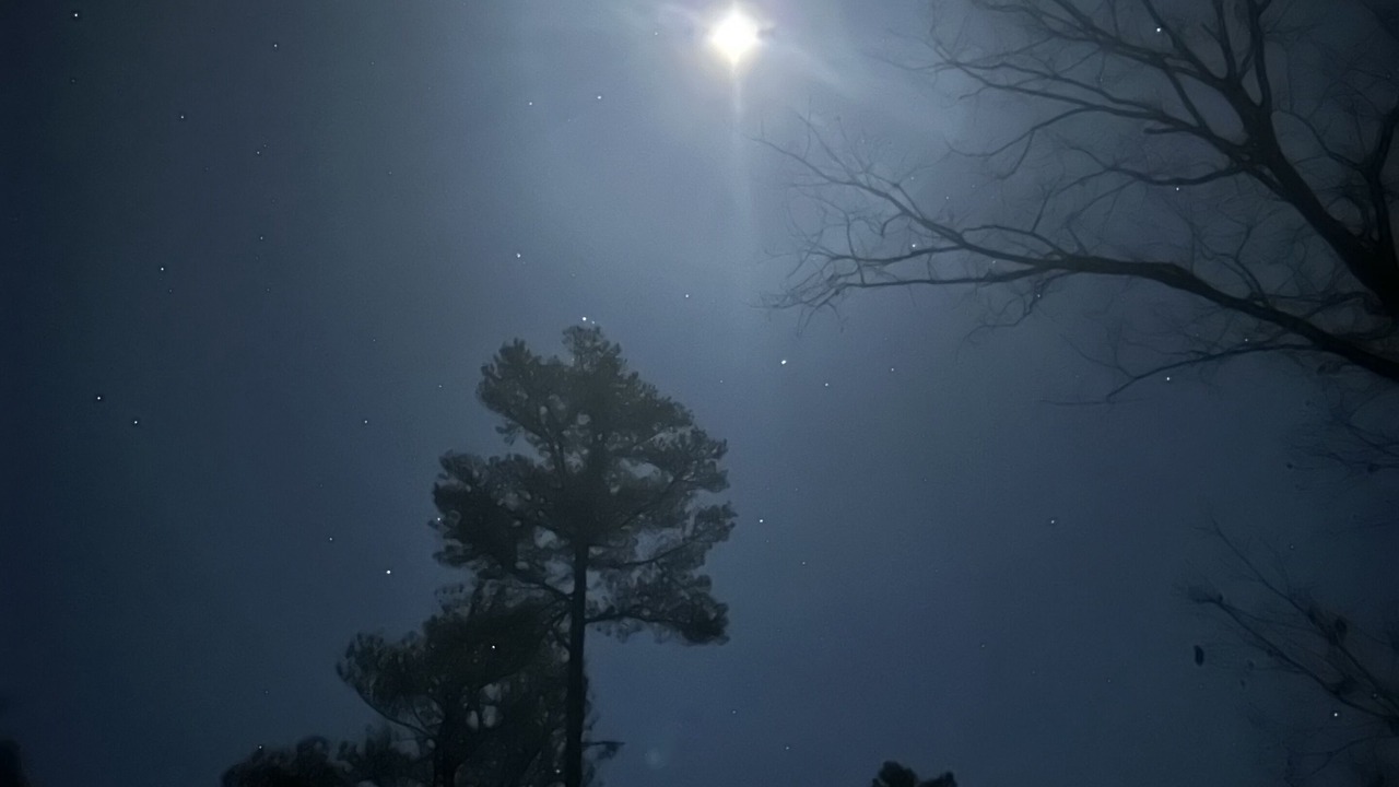 Photo of Outdoor in Mentone