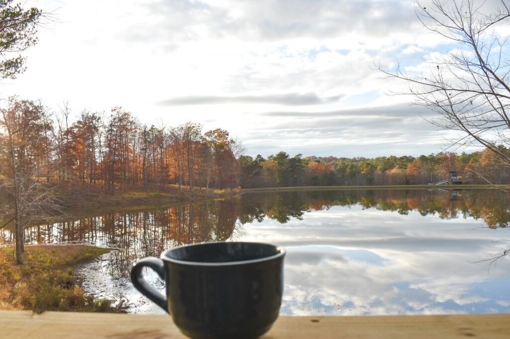 Photo of Outdoor in Mentone