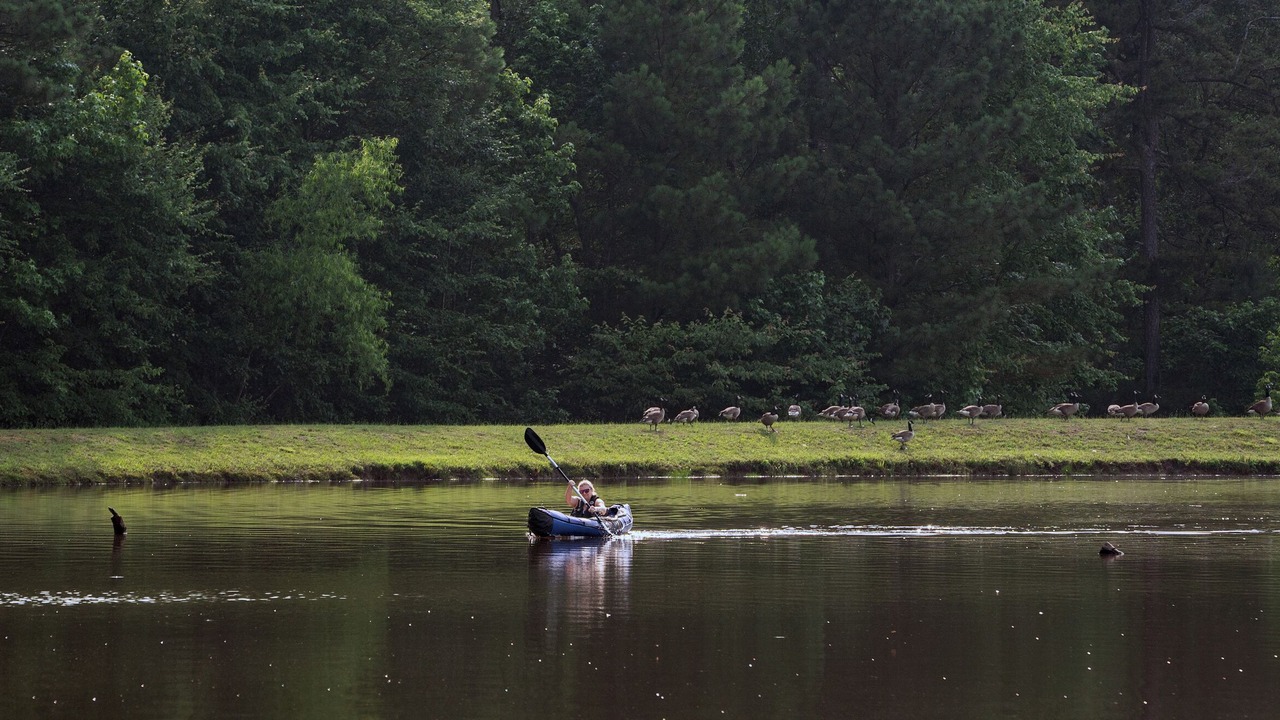 Photo of Others in Mentone