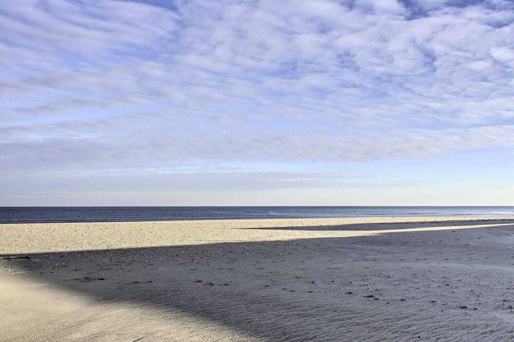 Photo of Others in Allenhurst