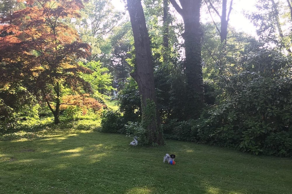 Photo of Outdoor in Severna Park
