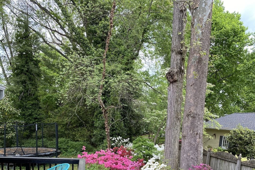 Photo of Outdoor in Severna Park