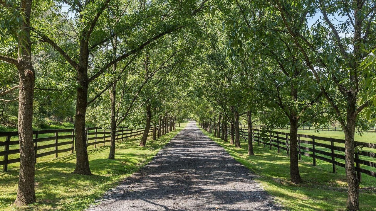 Photo of Outdoor in Round Hill