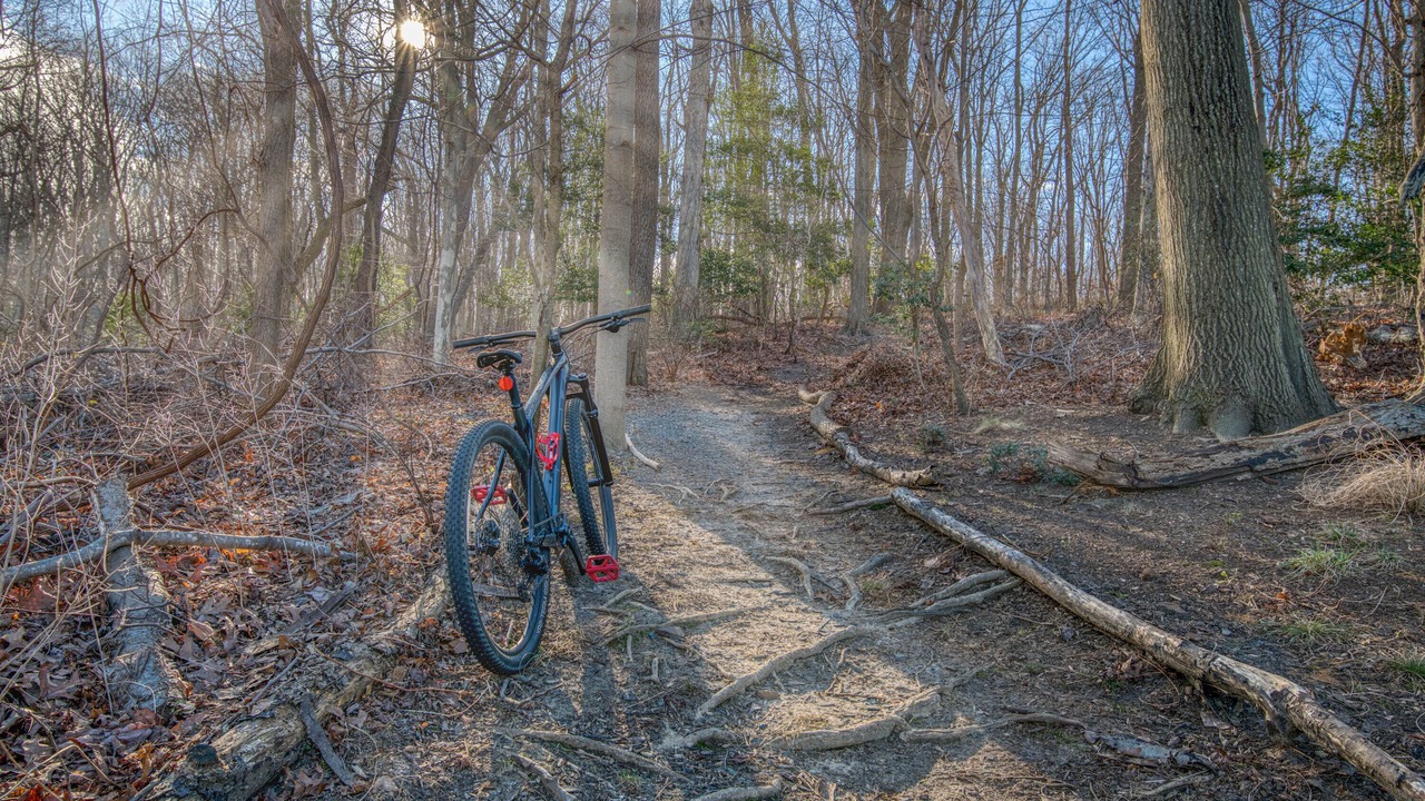 Photo of Outdoor in Atlantic Highlands