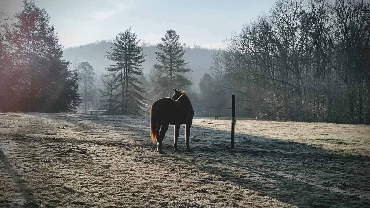 Photo of Outdoor in Oliver Springs