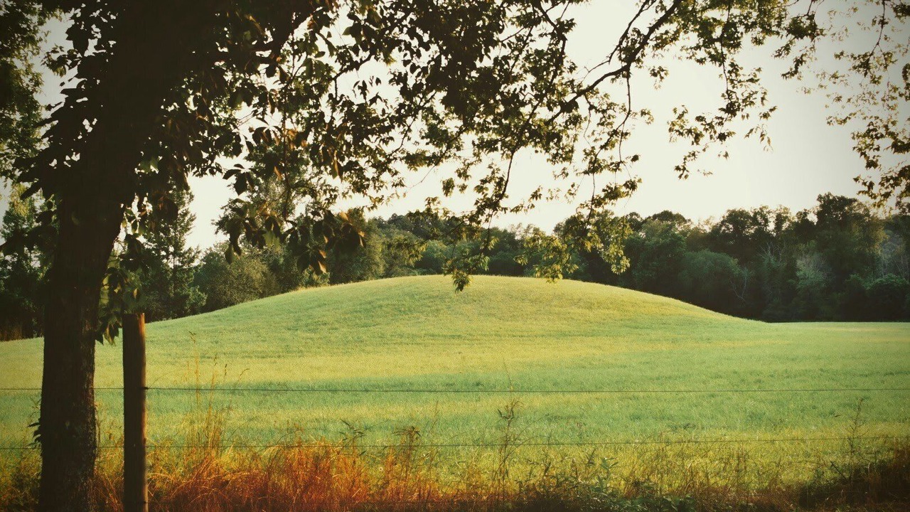 Photo of Others in Oliver Springs