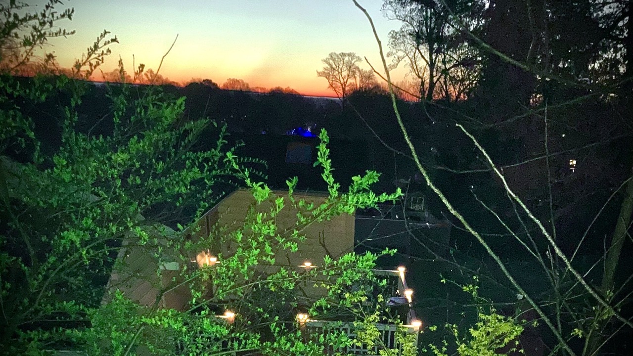 Photo of Outdoor in Croom