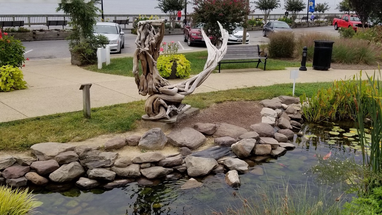 Photo of Outdoor in Croom