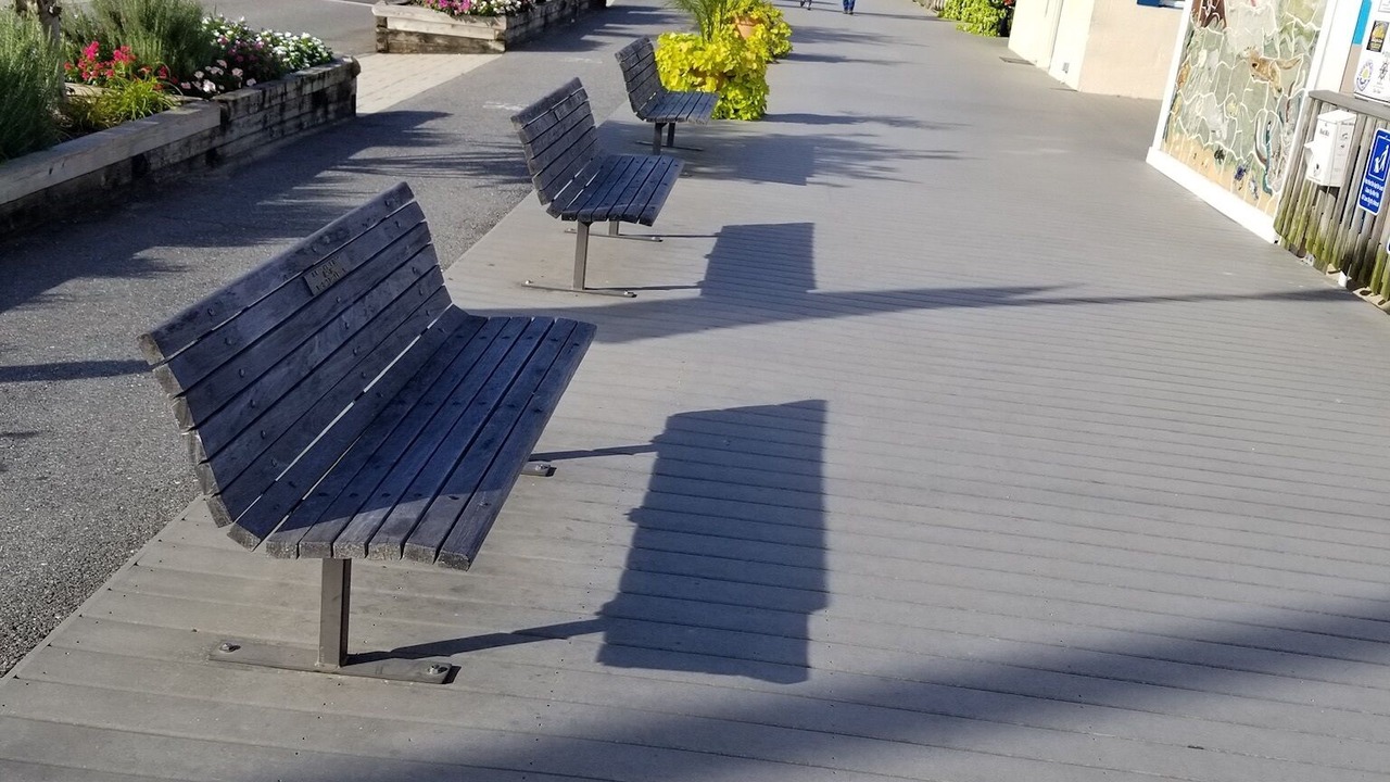 Photo of Outdoor in Croom